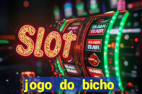 jogo do bicho crash bingo